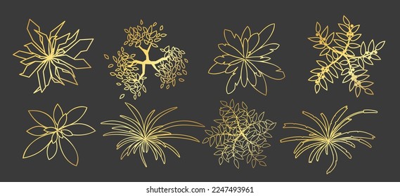 Golden trees and plants top view isolated on dark background. Elements for design logo, project. Grass and tree set for architectural, landscape design. Black and gold graphic illustration. Vector kit