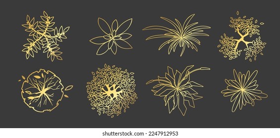 Golden trees and plants top view isolated on dark background. Elements for design logo, project. Grass and tree set for architectural, landscape design. Black and gold graphic illustration. Vector kit