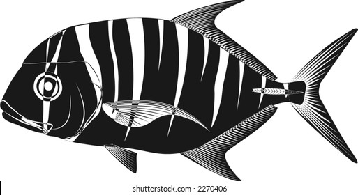 Golden trevally