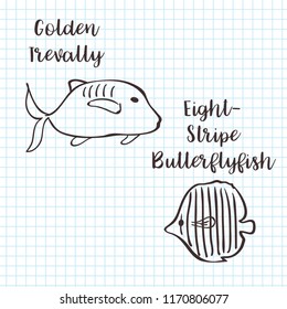 Golden trevally and butterflyfish vector sketch illustration.