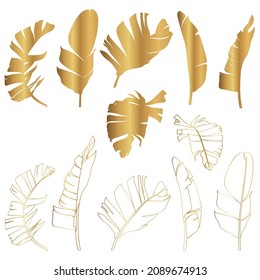 Golden tropical bananas leaves set on white background. Elegant exotic decoration for cosmetics, spa, perfume, health care products, tourist agency, summer party invitation, aroma.