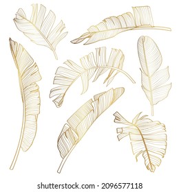 Golden tropical bananas leaves set on white background. Elegant exotic decoration for cosmetics, spa, perfume, health care products, tourist agency, summer party invitation, aroma.