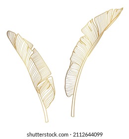 Golden tropical bananas leaves set on white background. Elegant exotic decoration for cosmetics, spa, perfume, health care products, tourist agency, summer party invitation, aroma.