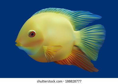 Golden tropical fish. Vector illustration