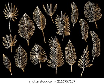 Golden Tropical Leaves Set. Black luxury line collection. Vector.