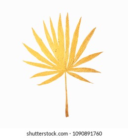Golden tropical leaves. Vector. The leaf is painted by hand for your unique design, patterns, fabric, packaging, invitations, posters and much more.