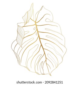 Golden tropical monstera leave on white background. Elegant exotic decoration for cosmetics, spa, perfume, health care products, tourist agency, summer party invitation, aroma.