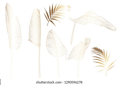 Golden Tropical Palm Bananas Tree Leaves isolated on white background. Palm Leaf Sketch, exotic illustrations, floral elements isolated, Hawaiian bouquet for greeting card, wedding, wallpaper.