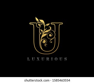 Golden U Luxury Logo Icon, Classy Letter Logo Design.