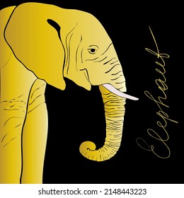 elefante de vector dorado dibujado a mano sobre un fondo negro. Texto dorado. Origen étnico, arte espiritual, yoga. dios indio Ganesha, símbolo indio. Papel para camisetas, afiches.