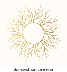 Golden vector isolated timber background. Tree root gold natural frame. 