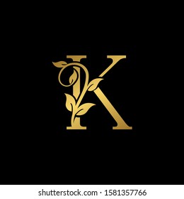 146 317 Letter K Images Stock Photos Vectors Shutterstock