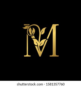 Golden Vintage Letter M  Nature Floral  Leaves logo icon. Elegant Luxury design concept floral leaves with letter  M gold color isolation on black background color.