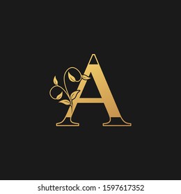 Golden Vintage Nature  Floral Leaves Letter A Logo Icon. Vintage  design concept classic vector nature leaves  with letter logo icon gold color.