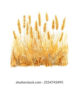 golden weath field vector illustration in watercolor style