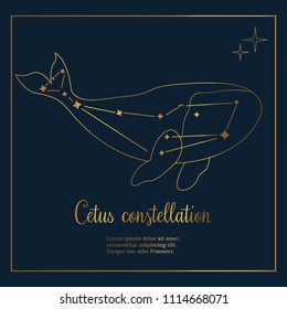 Golden Whale constellation in the night sky.