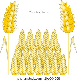 golden wheat