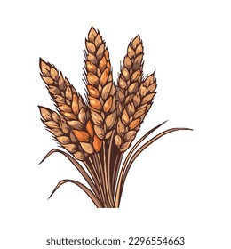 Golden wheat and barley bundle, ripe for harvest icon isolated