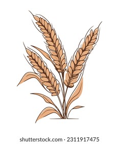 Golden wheat and barley icon isolated