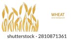 Golden wheat ear background or banner. Cereal grain spikelet and stalk pattern for bakery bread beer packaging and organic label or frame design. Agriculture harvest farm template. Vector web banner