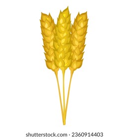 golden wheat ears art drawn  