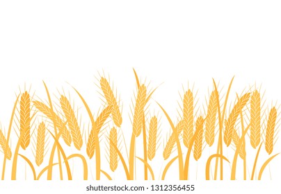 Golden wheat ears on stalks horizontal border frame in flat style isolated on white background - vector illustration of ripe dry cereal spikes with grain on stems with leaves.