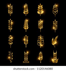 Golden wheat ears vector icons isolated on black background. Oat and barley, golden agriculture food illustration