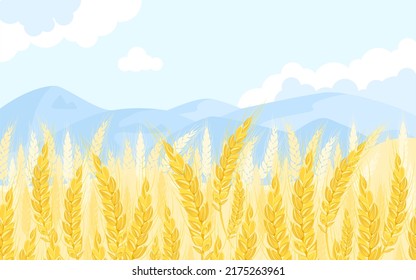 Golden wheat field and blue sky. Vector cartoon illustration. Summer landscape with ears of cereals.