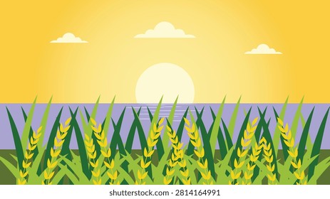 Golden Wheat Field Landscape Background with Sunrise Sky Nature Farm and Rural Agriculture Scene