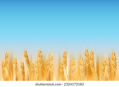 Golden wheat field in the Ukrainian countryside. Ideal for agriculture, farming, and nature themed designs. Illustration of ripe cereal crops under a blue sky. Realistic drawing with organic farming