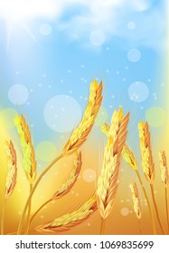 golden wheat field under a blue sky with white clouds