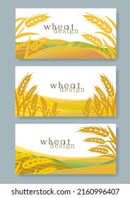 Golden wheat illustration graphic background