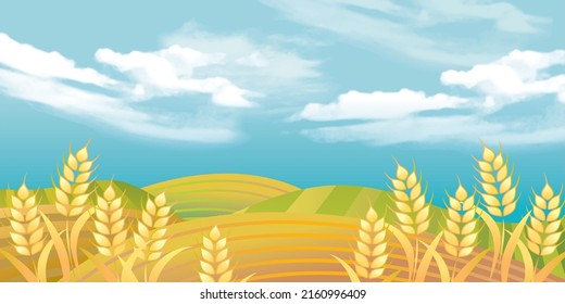 Golden wheat illustration graphic background