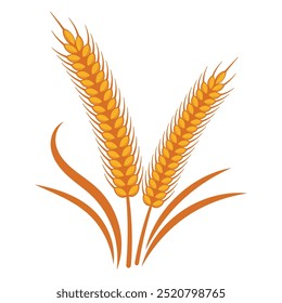 golden wheat illustration vector template