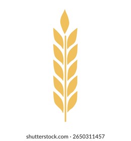 Golden wheat isolated, vector illustration