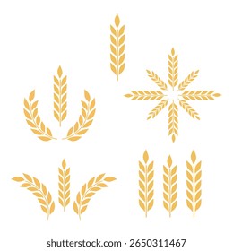 Golden wheat isolated, vector illustration