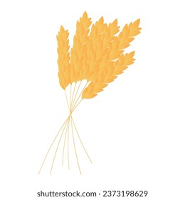Golden wheat spikelets on white background