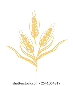 Golden wheat stalks simple vector illustration isolated on white background