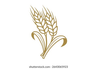 Golden Wheat Vector Line Art Illustration Featuring Grain Stalks and Ears Design