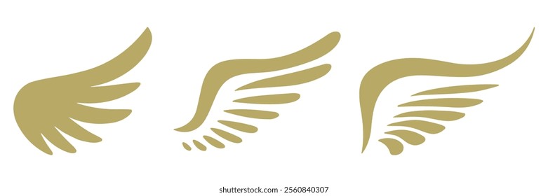 Golden wing vector.  angel wings icon