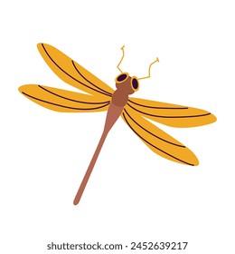 Golden Winged Dragonfly Icon Vector Illustration