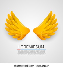 Golden wings on white background. Vector illustration