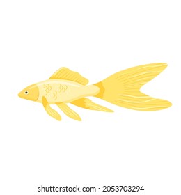 Golden yellow aquarium fish clipart. Vector illustration in cartoon style isolated on white background