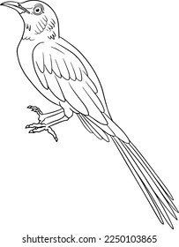 Golden-breasted Starling. Vector sketch of hand drawn bird. Linear animals art. 