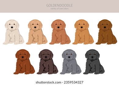 Goldendoodle clipart. Golden retriever Poodle mix. Different coat colors set.  Vector illustration