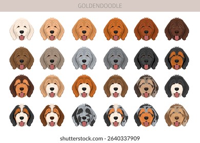Goldendoodle clipart. Golden retriever Poodle mix. Different coat colors set.  Vector illustration