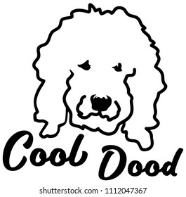 Goldendoodle cool dood face in white