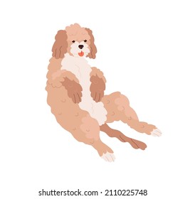 Goldendoodle dog, cute funny canine animal of doodle breed. Happy Labradoodle sitting, relaxing with tongue out. Fluffy puppy with curly coat. Flat vector illustration isolated on white background