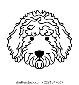 Goldendoodle dog portrait vector icon