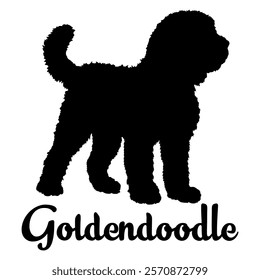 Goldendoodle dog silhouette, dog breeds, logo, vector, silhouette,  animal, illustration, icon, sign, design, black, symbol, pet, love
